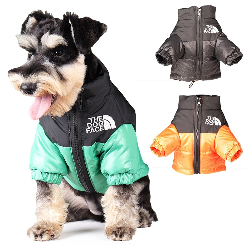 The Dog Face Winter Coat