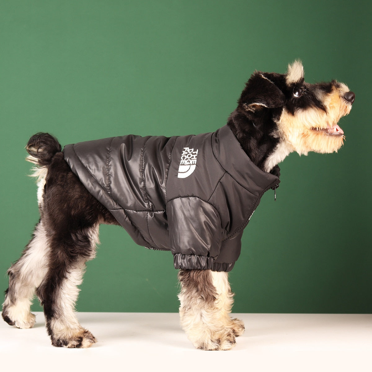 The Dog Face Winter Coat